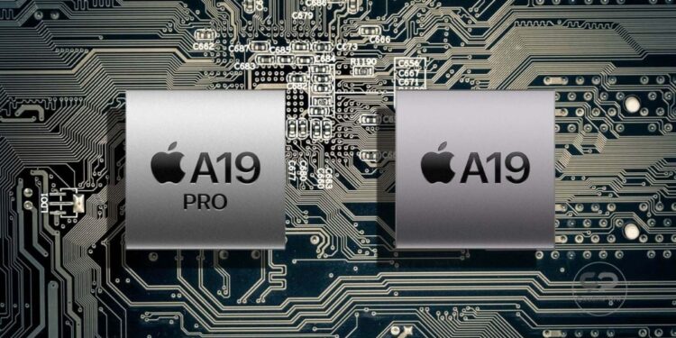 A19