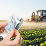 Tarım Müdürlüğü çiftçilere 142 milyon TL destek müjdesi verdi!